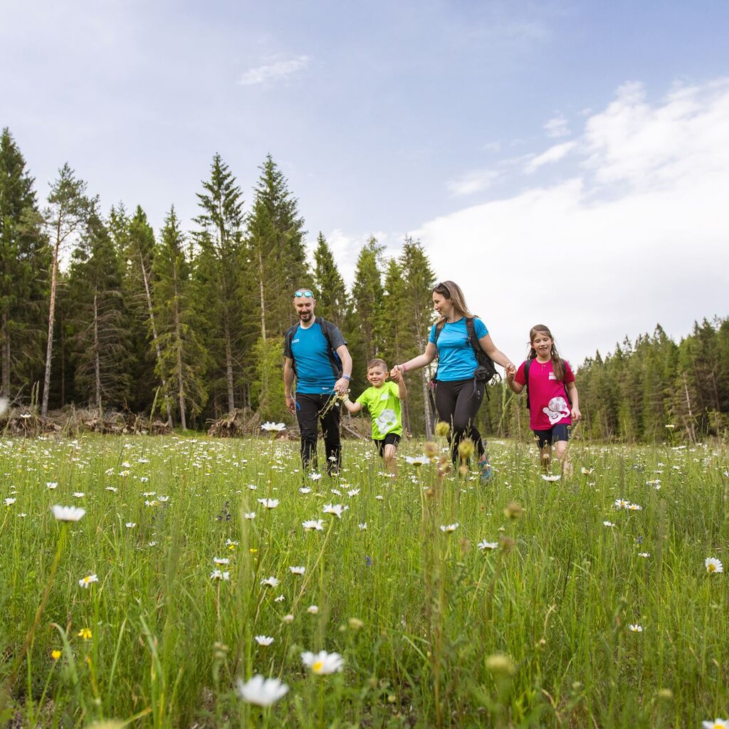 A family with children strolls through the woods and flower-filled meadows of the Paganella plateau. | © Filippo Frizzera, 2019