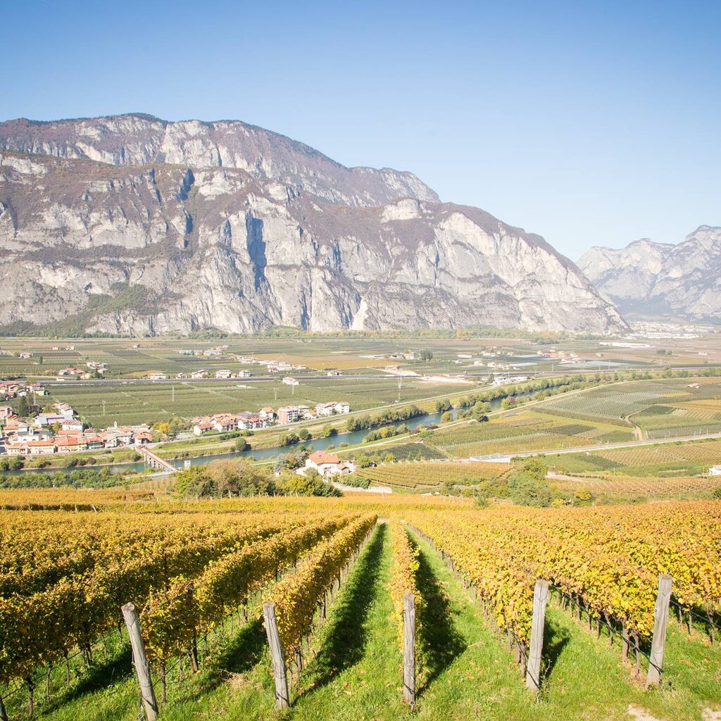 Vineyards, villages of the Piana Rotaliana Konigsberg and mountains of Trentino on a sunny autumn day | © Alfredo Croce, 2017 Vineyards, villages of the Piana Rotaliana Konigsberg and mountains of Trentino on a sunny autumn day | © Alfredo Croce, 2017