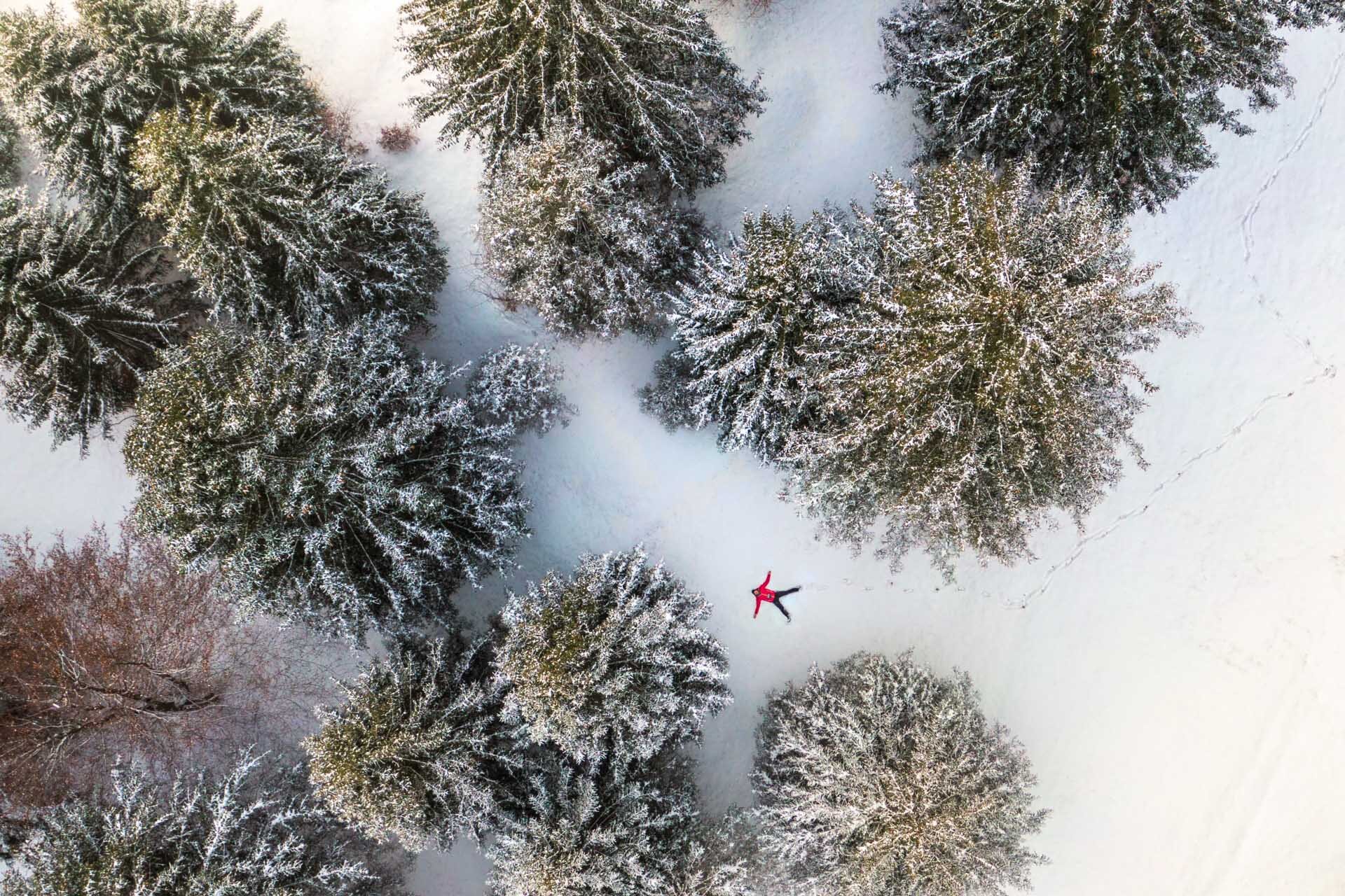 Boy creates snow angel lying between the trees of the Paganella woods | © Filippo Frizzera, 2019