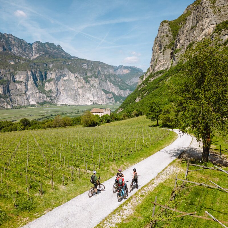 Radfahrer auf einem Teilstück des Giro del Vino 50 | © Nicola Cagol, 2023