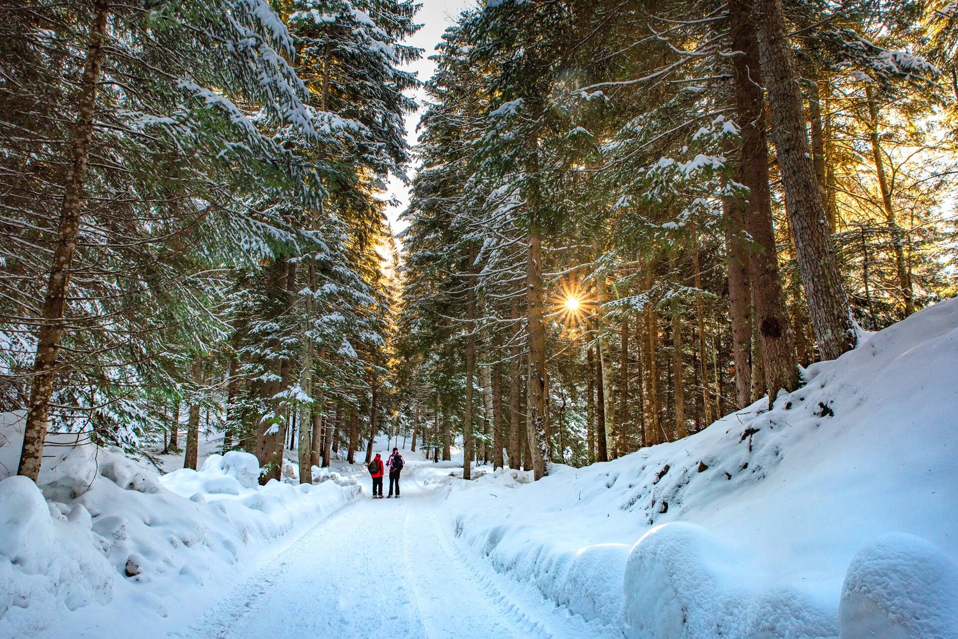 Trekking sulla neve nei boschi della Paganella | © @ourfamily.it, 2020