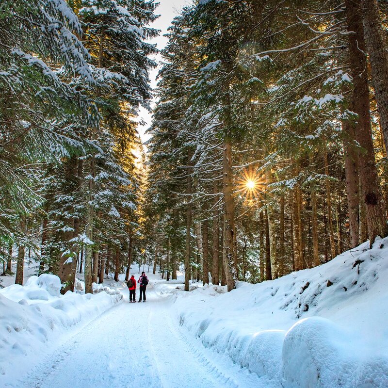 Trekking sulla neve nei boschi della Paganella | © @ourfamily.it, 2020