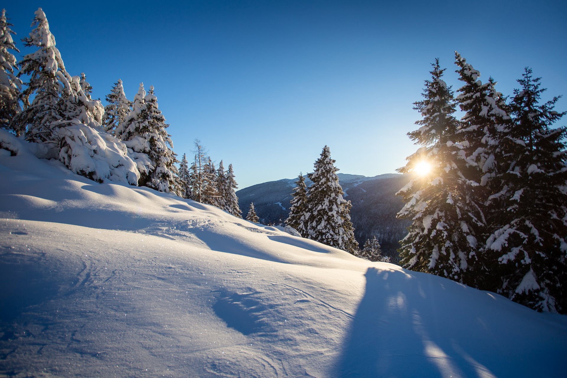 I boschi della Paganella dopo una bella nevicata. | © Filippo Frizzara, 2019