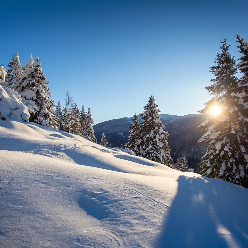 I boschi della Paganella dopo una bella nevicata. | © Filippo Frizzara, 2019