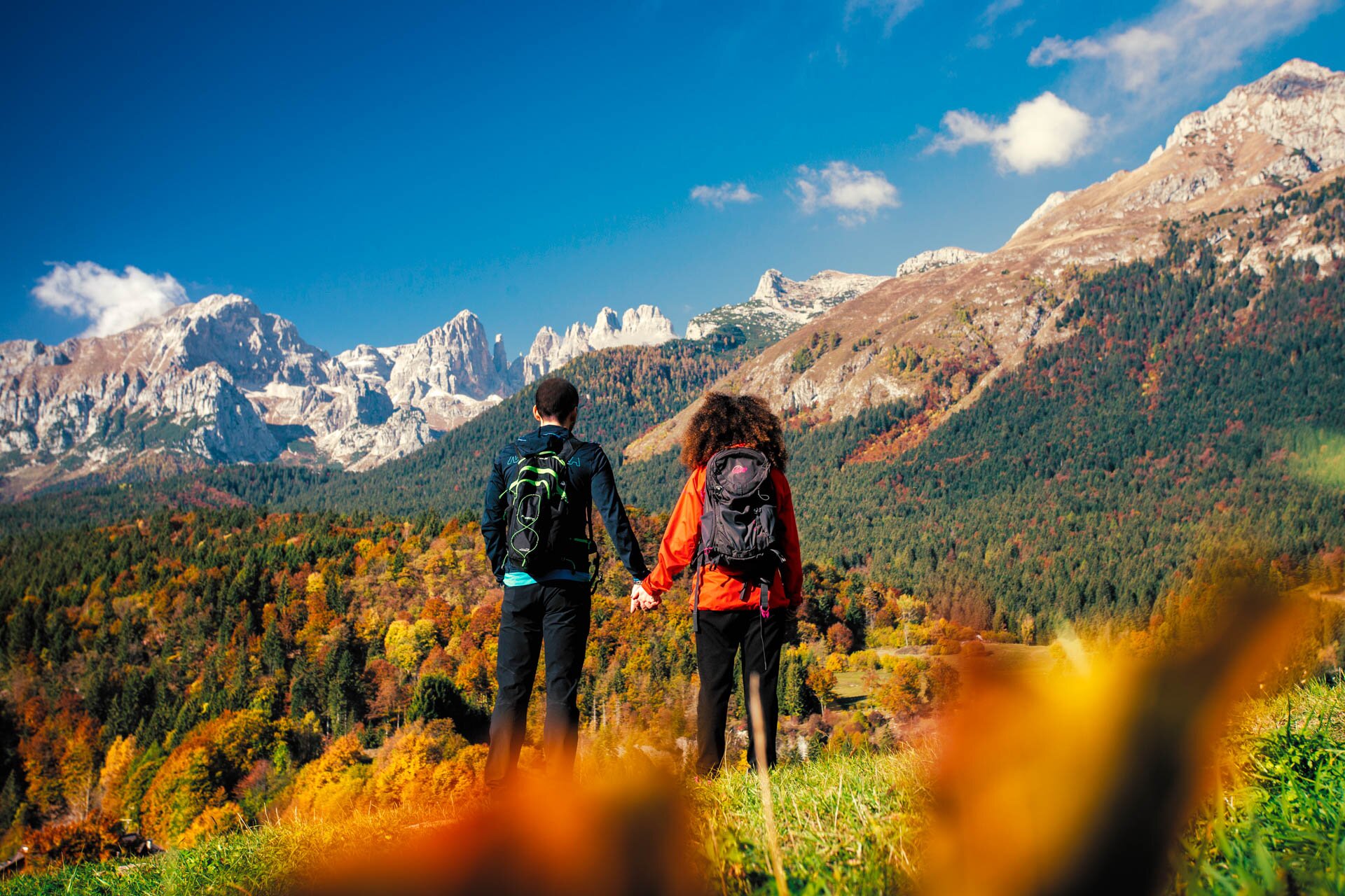 A couple hand in hand looks at the Brenta Dolomites from the woods around Andalo