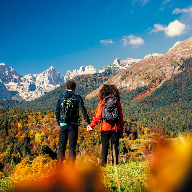 A couple hand in hand looks at the Brenta Dolomites from the woods around Andalo