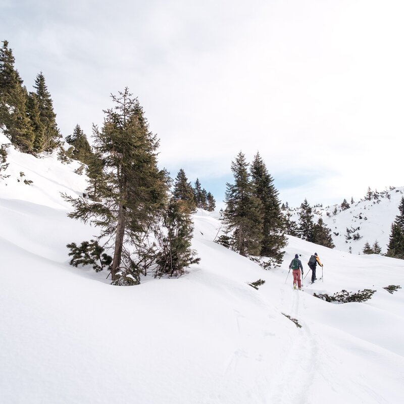 Das Bild zeigt zwei Skitourengeher auf einem verschneiten Weg, umgeben von schneebedeckten Hängen und verstreuten Bäumen. Der Himmel ist klar mit einem leichten Schleier, und die Landschaft bietet eine ruhige und natürliche Atmosphäre. | © Filippo Frizzera, 2024