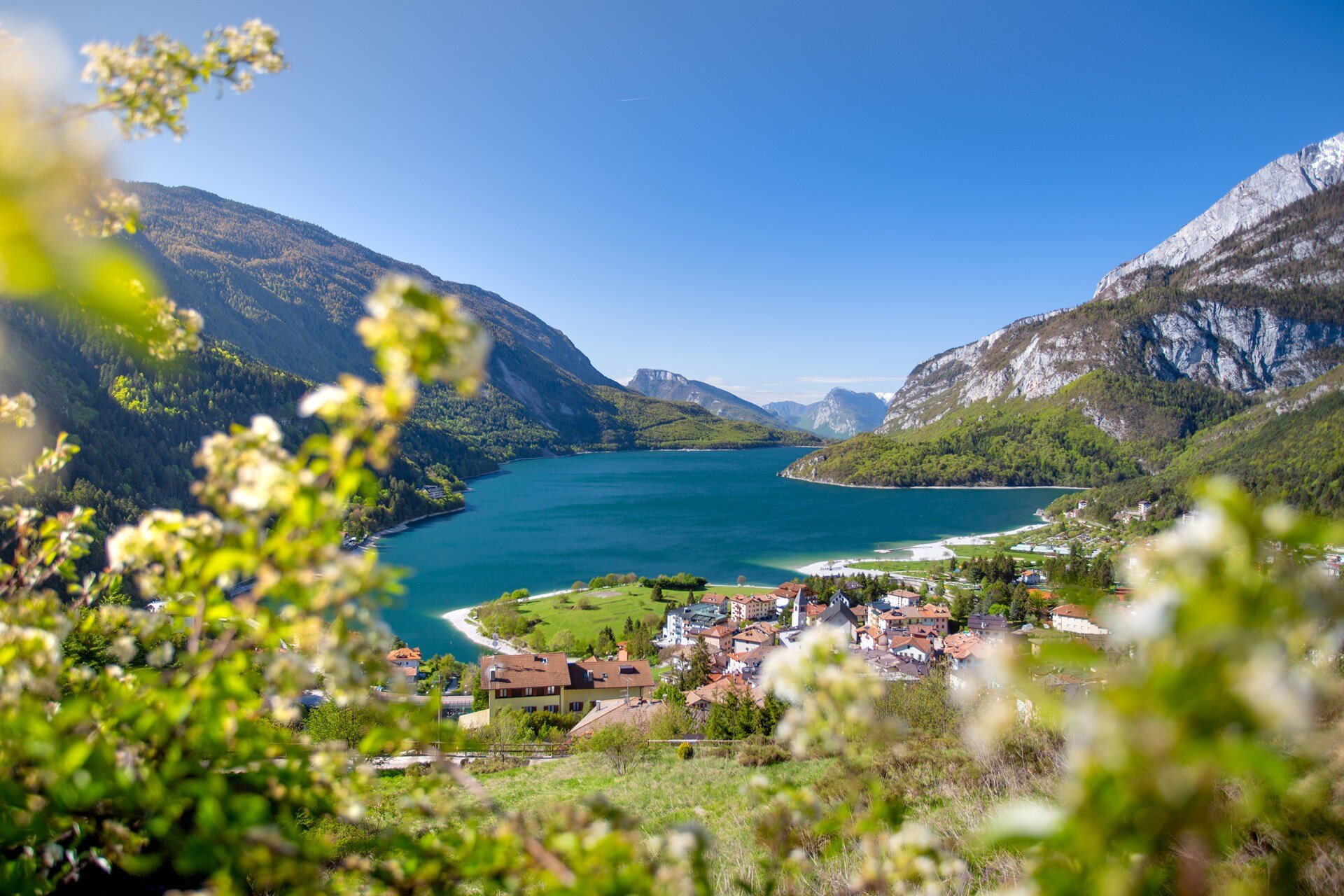 Molveno, con le sue case dai tetti spioventi di colore scuro, si adagia sulle rive del lago, le cui acque blu intenso contrastano con le montagne scoscese che lo circondano. In primo piano, fiori bianchi dai petali delicati aggiungono un tocco di colore primaverile al paesaggio. | © Filippo Frizzera, 2019