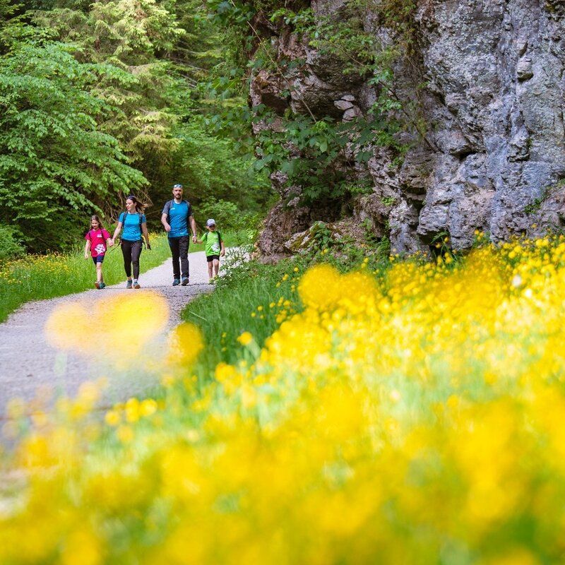 Passeggiata da Andalo a Molveno