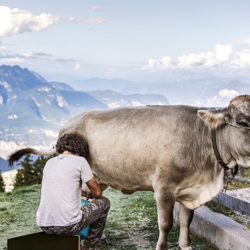 Spaziergang von Meriz nach Malga Fai