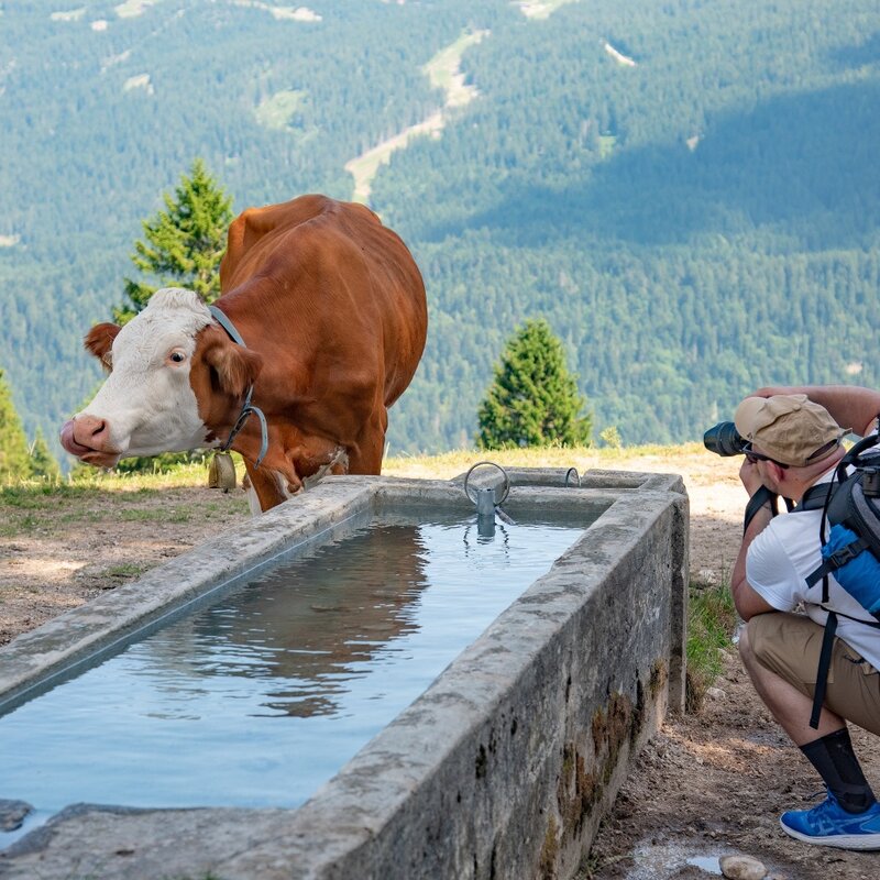 Walk from Pradel to Rifugio La Montanara