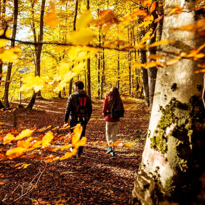 Spaziergang acqua e faggi im Parco del Respiro