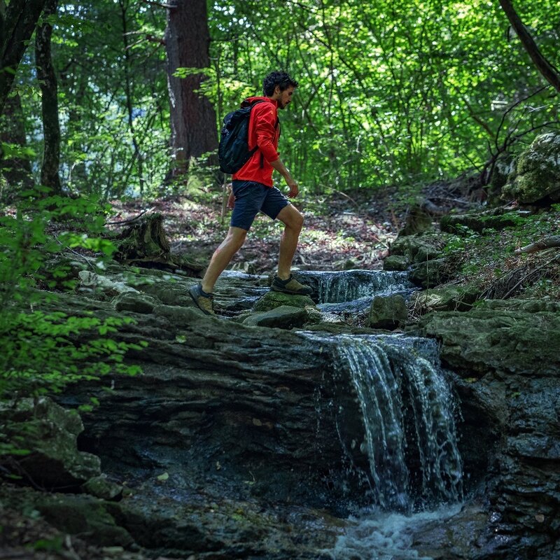 Sentiero Acqua e Faggi nel Parco del Respiro