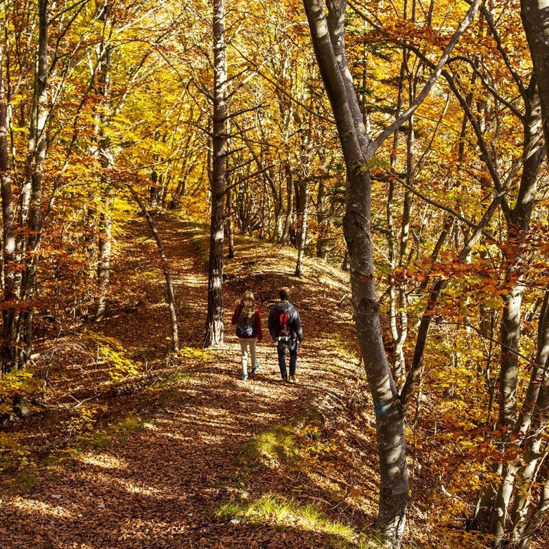 Parco del Respiro