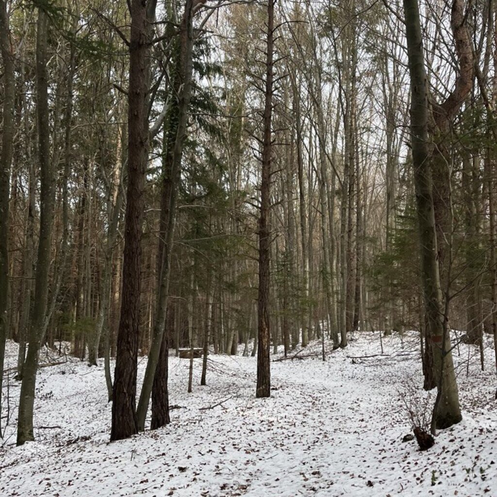 Parco del Respiro