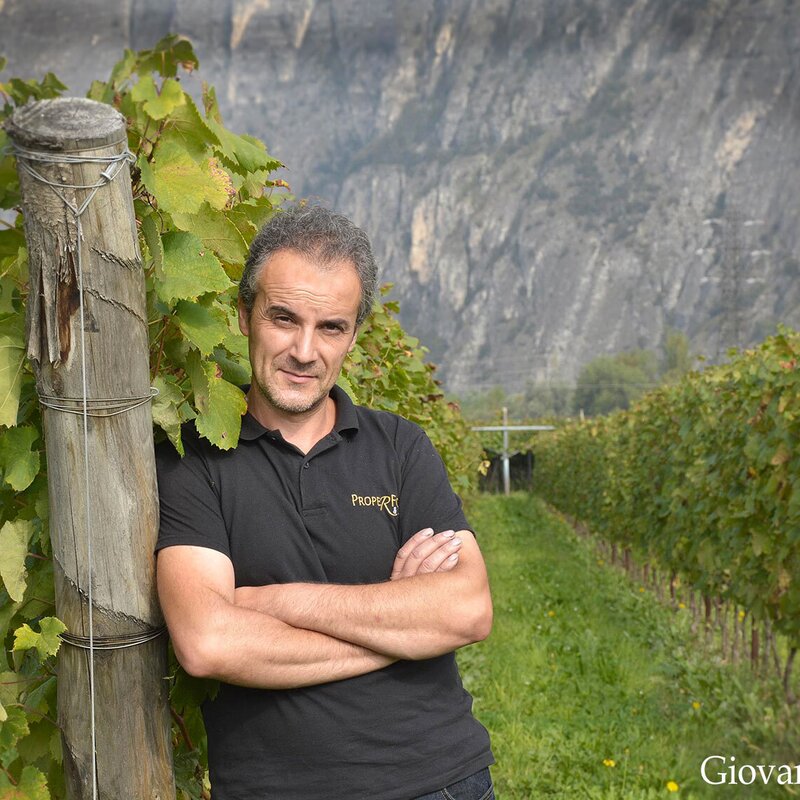 Azienda Agricola Fedrizzi Cipriano