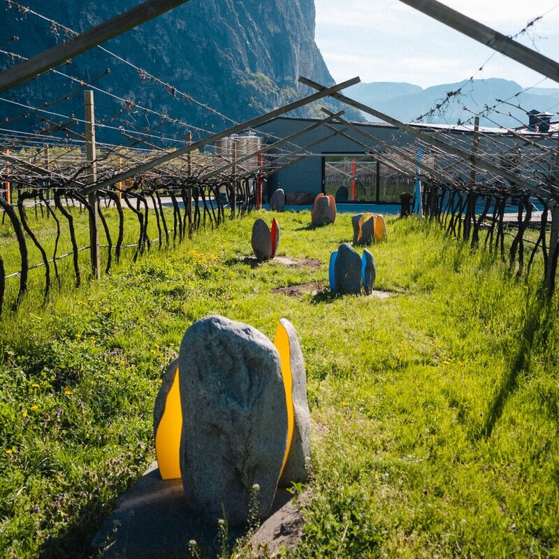 Cantina De Vigili